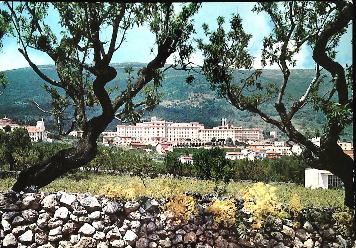 S. GIOVANNI ROTONDO - PANORAMA CASA SOLLIEVO - V1968