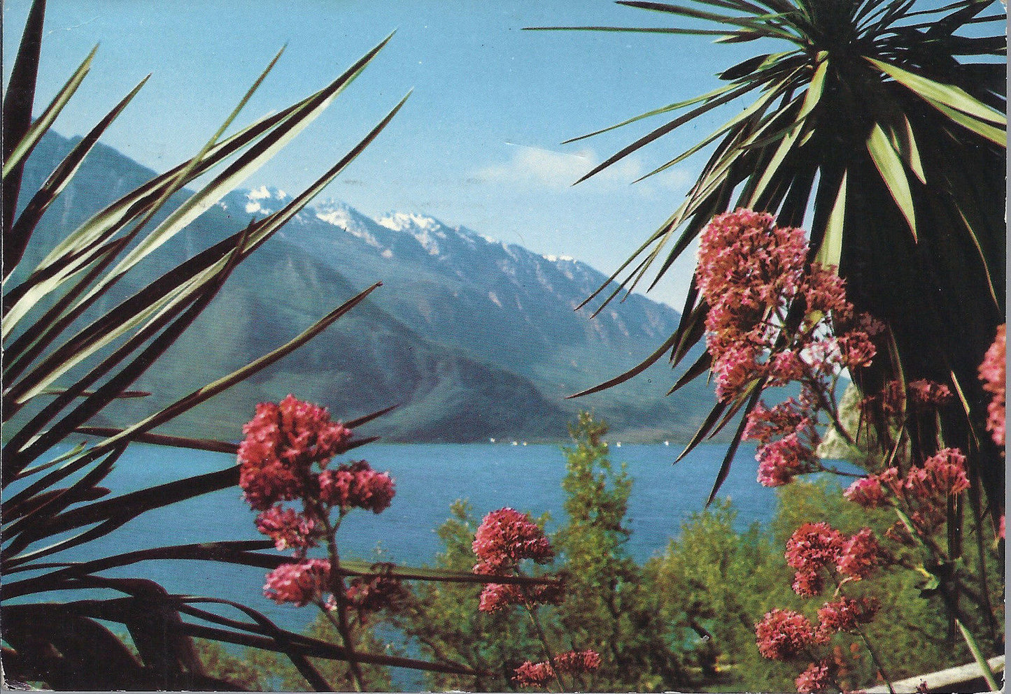 LAGO DI GARDA - SUGGESTIVA VISIONE DEL MONTE BALDO - V1972