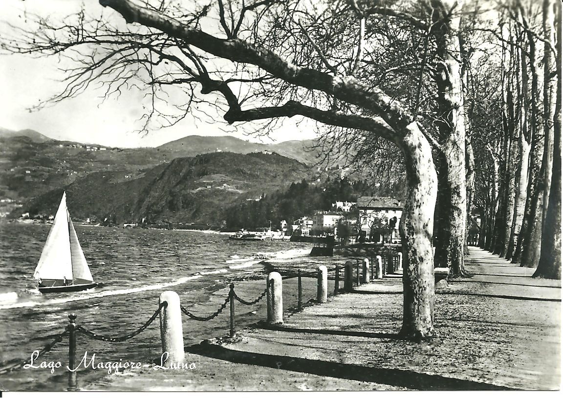 LAGO MAGGIORE - LUINO - V1963