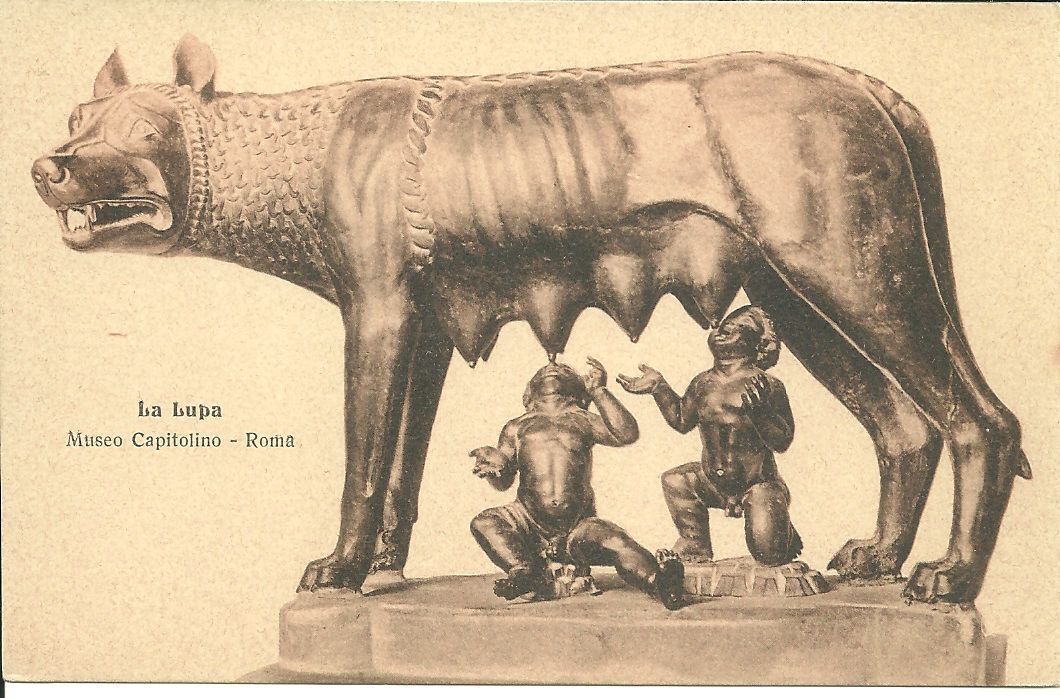 ROMA - LA LUPA - MUSEO CAPITOLINO - NV