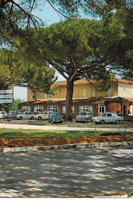 DONORATICO - LOC. BAMBOLO - HOTEL BAMBOLO - V1967