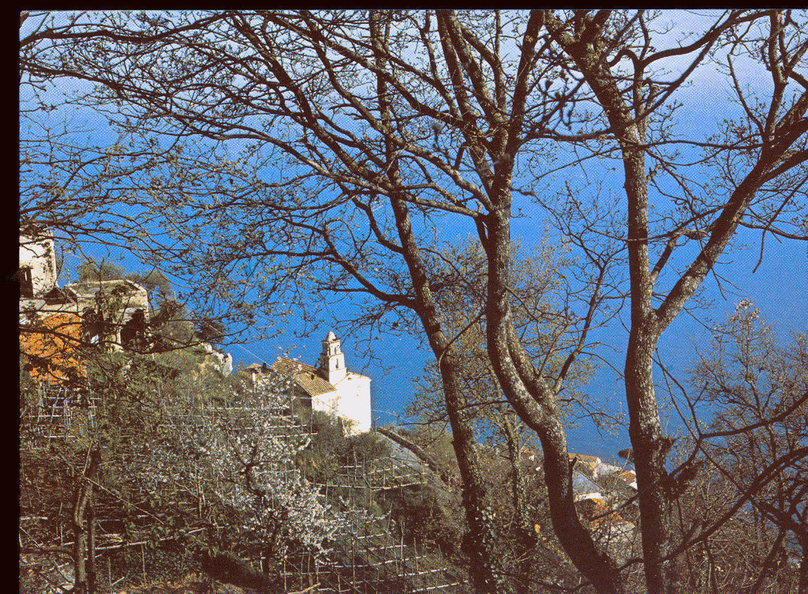 FURORE - SAN MICHELE - NV