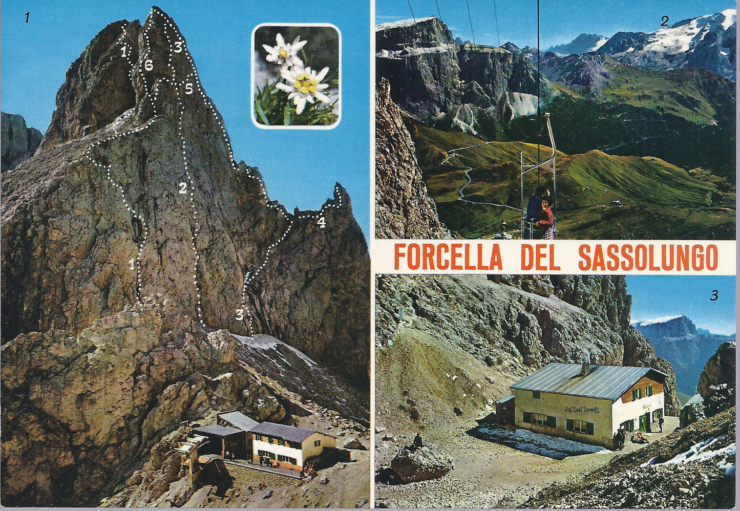 FORCELLA DEL SASSO LUNGO - TELECABINA - RIFUGIO TONI DEMETZ 