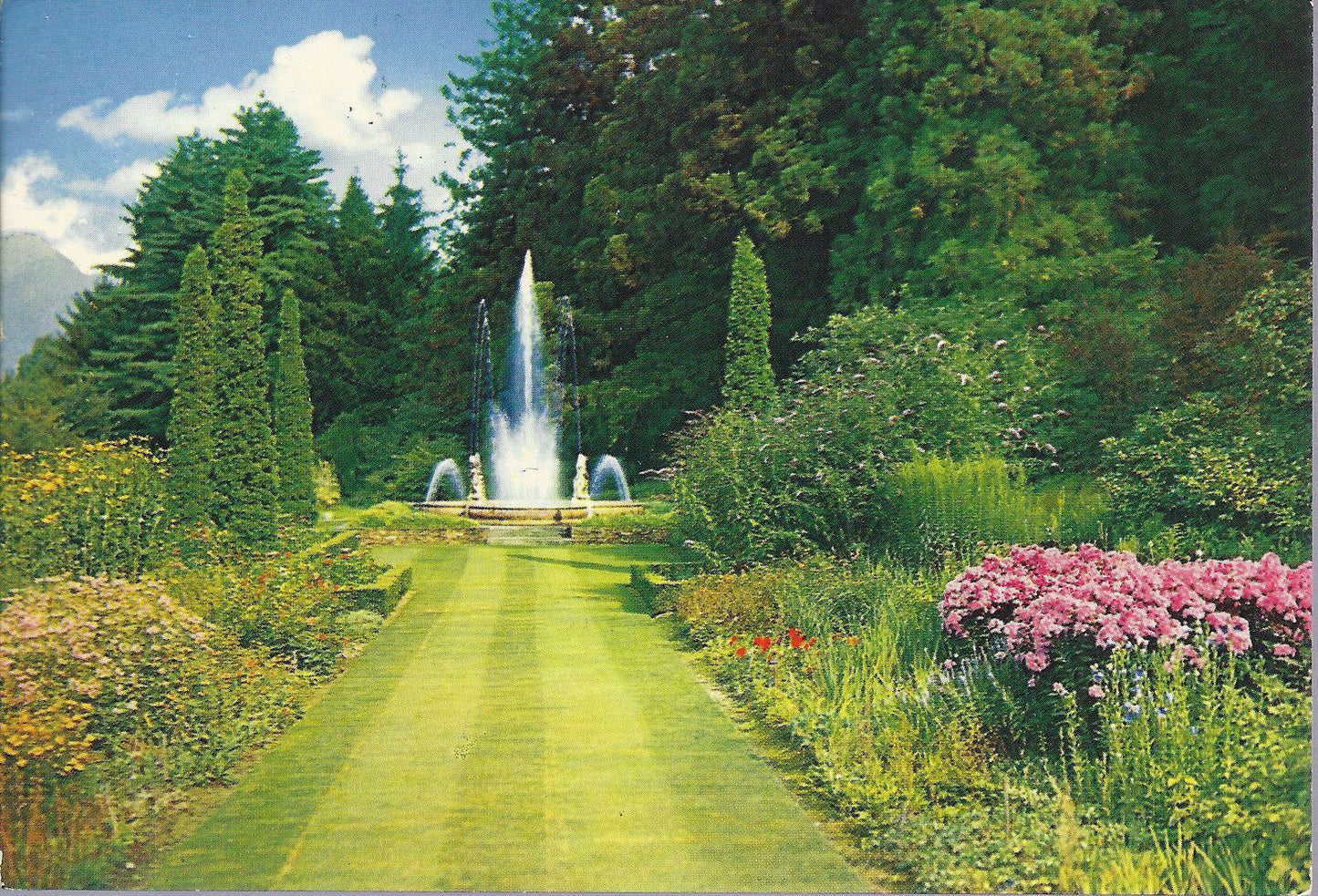 VERBANIA PALLANZA - VILLA TARANTO - BORDURE DI PIANTE ERBACE