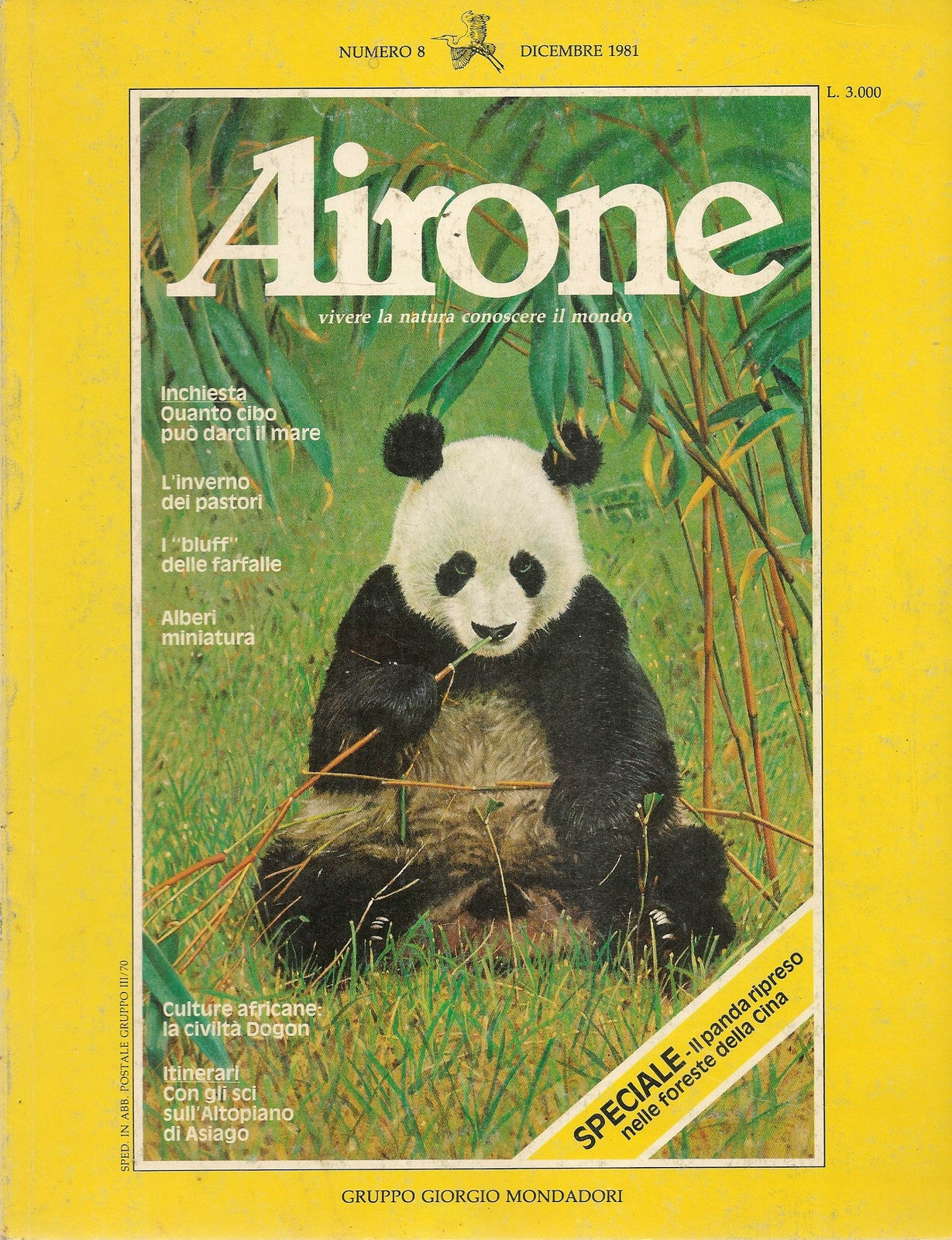 AIRONE N. 8 - DIICEMBRE 1981 - SPECIALE PANDA