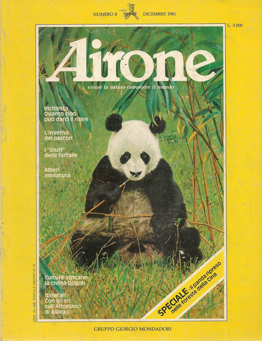 AIRONE N. 8 - DIICEMBRE 1981 - SPECIALE PANDA