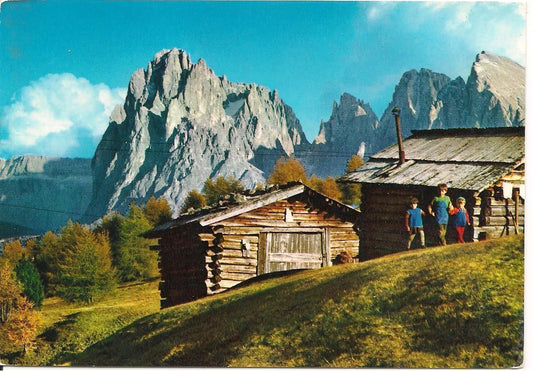 ALPE DI SIUSI - DOLOMITI - V1970