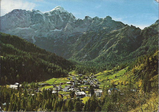 ZOLDO ALTO - M. PECOL verso il CIVETTA - V 1979 - FG