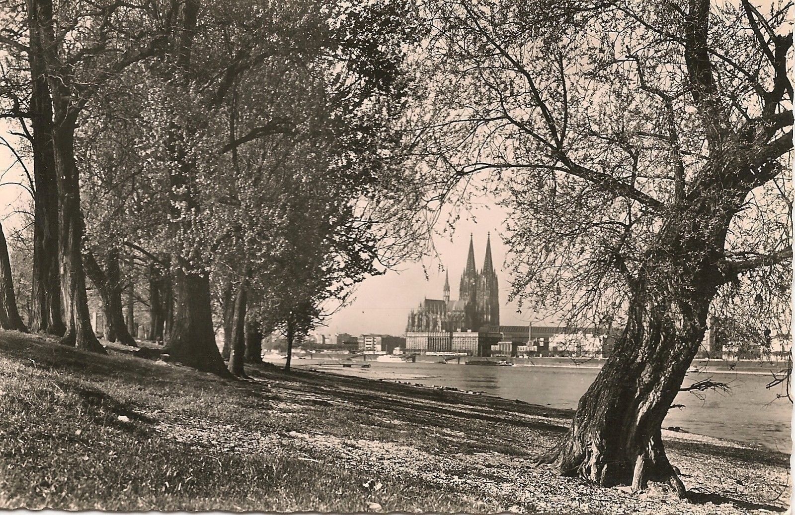 COLONIA SUL RENO/KÖLN AM RHEIN - PANORAMA - NV/NG