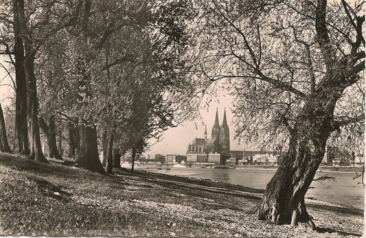 COLONIA SUL RENO/KÖLN AM RHEIN - PANORAMA - NV/NG