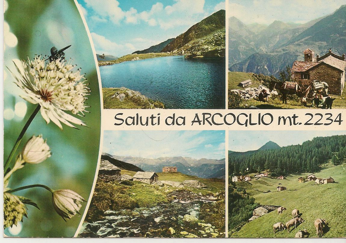 SALUTI DA ARCOGLIO - QUATRO VEDUTE - NV