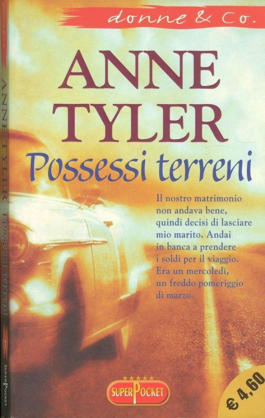POSSESSI TERRENI - ANNE TYLER