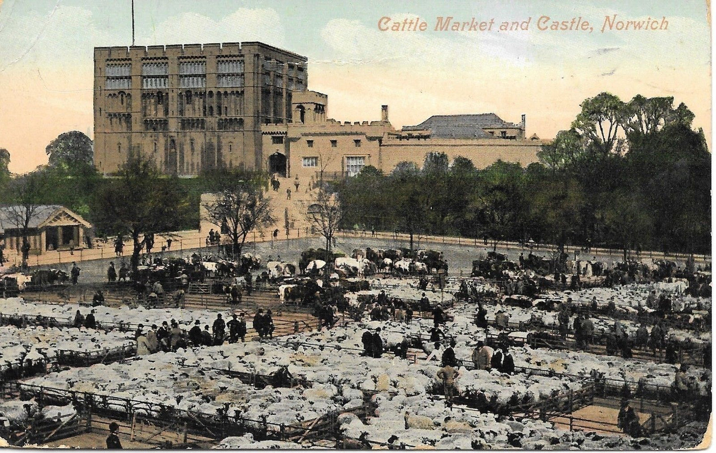 NORWICH CATTLE MARKET AND CASTLE - V/T1920