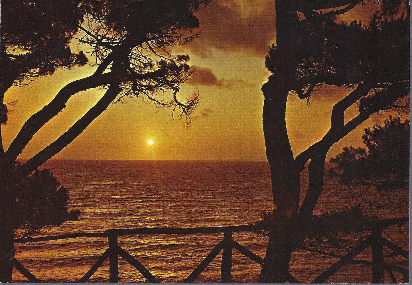 INCANTO DELLA RIVIERA LIGURE (2HH) - NV