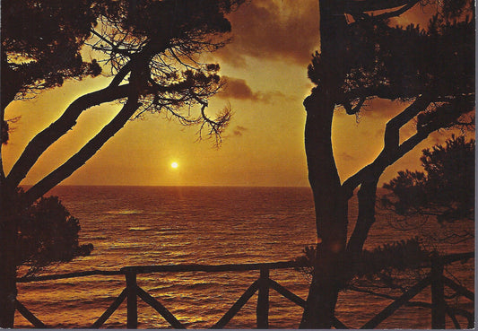 INCANTO DELLA RIVIERA LIGURE (2HH) - NV