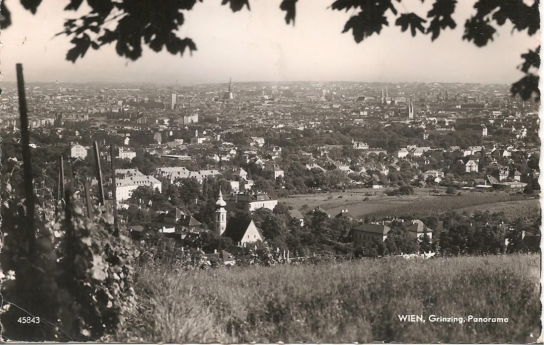 VIENNA/WIEN - GRINZIG - PANORAMA - V
