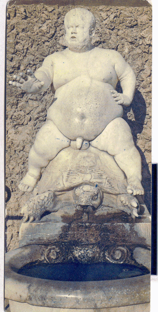FIRENZE - GIARDINO DI BOBOLI - PIETRO BARBERINO - VIB1964 -