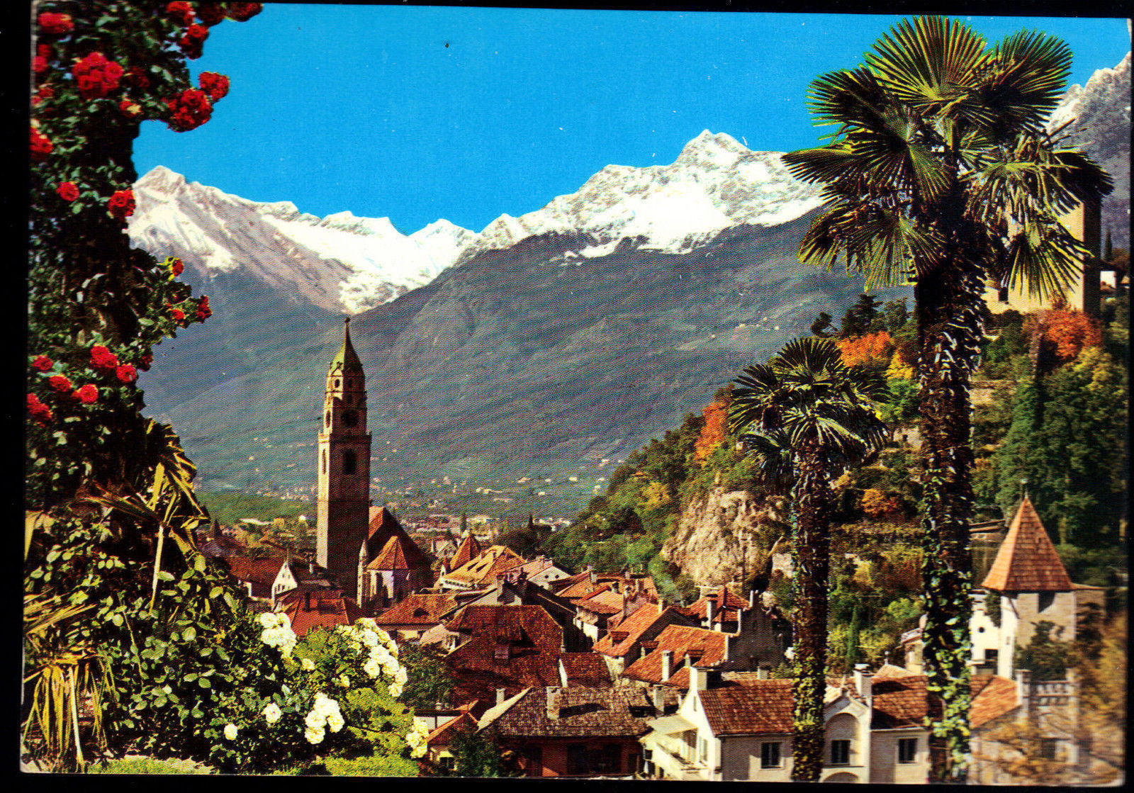 MERANO  LUOGO DI CURA - KURSTADT MERAN - VIB1976