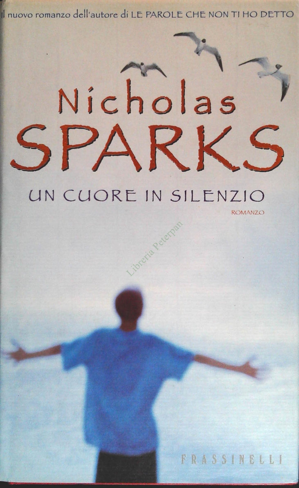UN CUORE IN SILENZIO - NICHOLAS SPARKS