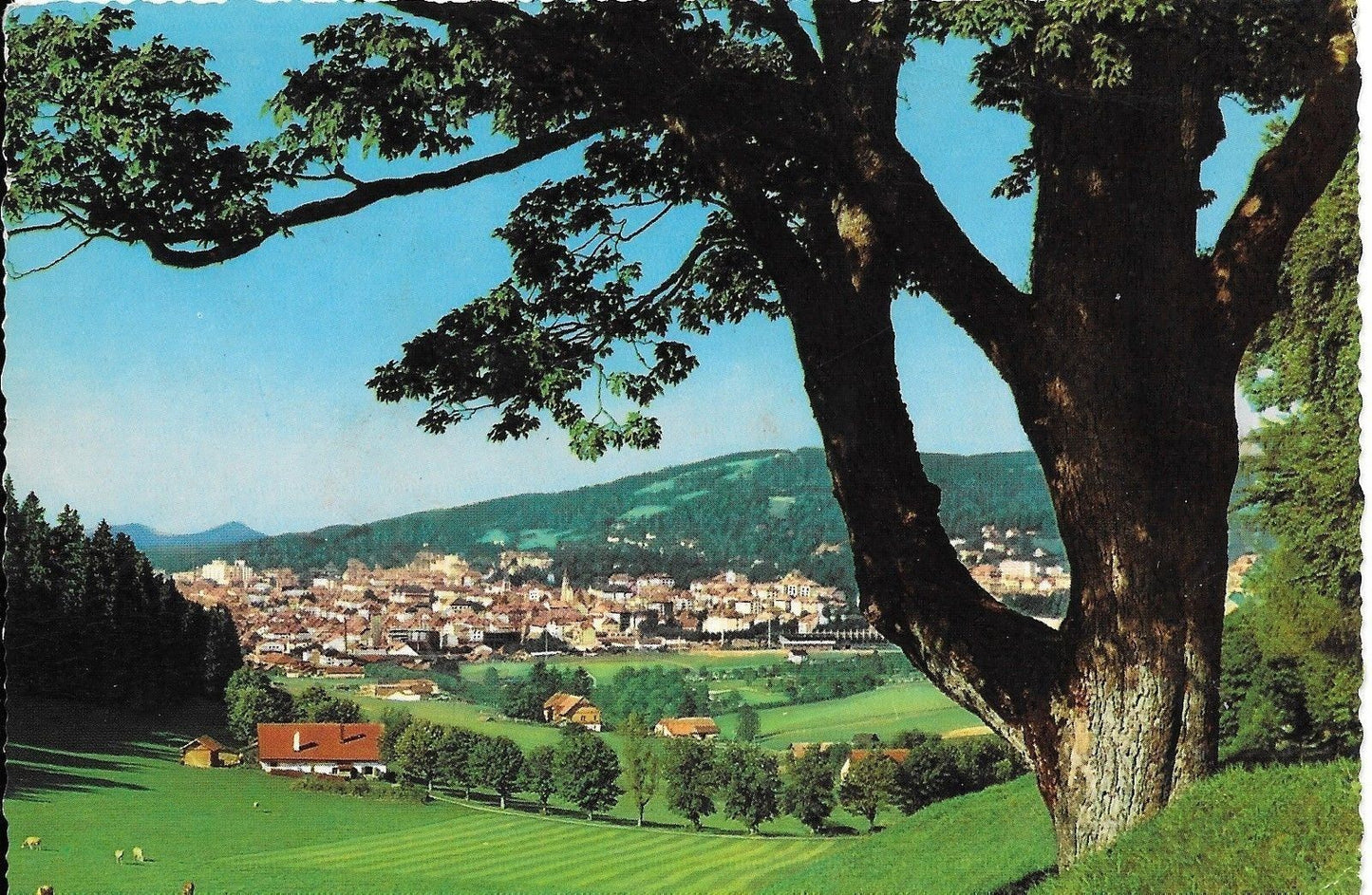 LA-CHAUX-DE-FONDS - SVIZZERA - PANORAMA - V1965