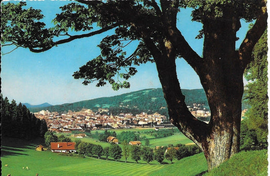 LA-CHAUX-DE-FONDS - SVIZZERA - PANORAMA - V1965