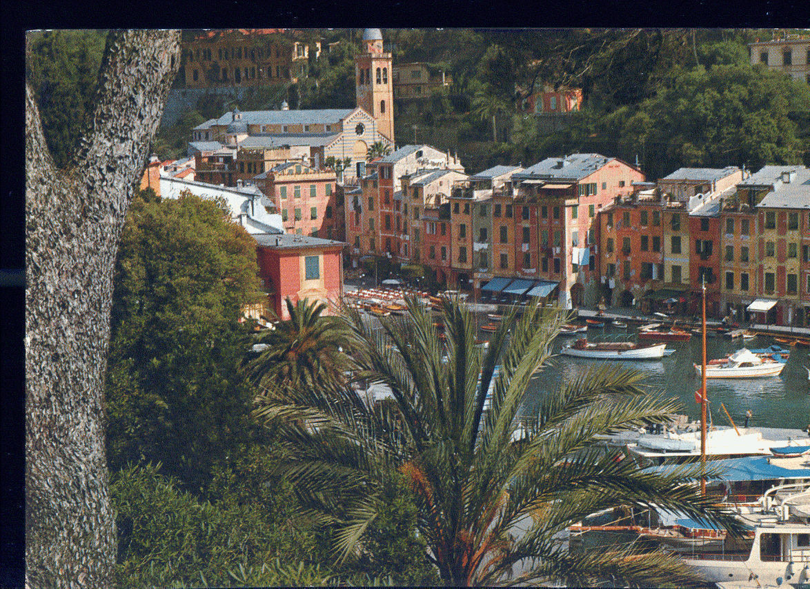 PORTOFINO - ANGOLO DEL PORTO - V1968