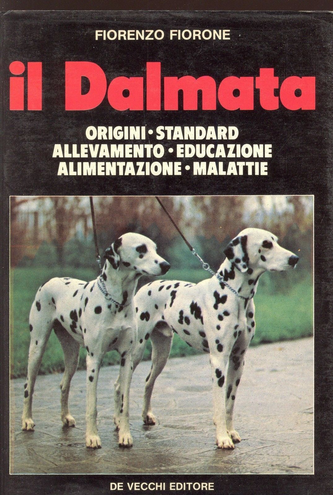 IL DALMATA - FIORENZO FIORONE