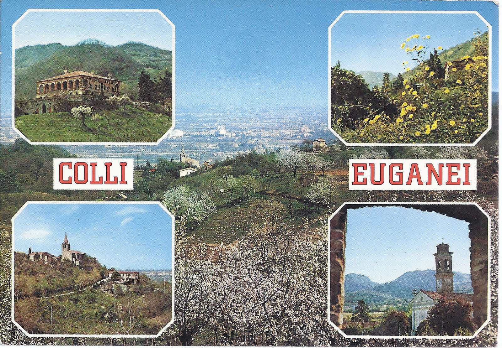 COLLI EUGANEI - PRIMAVERA IN FIORE - 5 VEDUTE - NV - FG