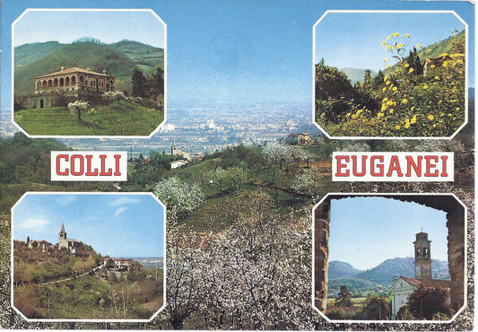 COLLI EUGANEI - PRIMAVERA IN FIORE - 5 VEDUTE - NV - FG
