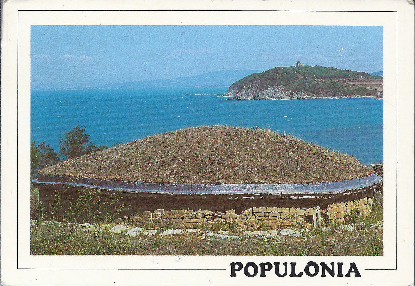 POPULONIA - TOMBA DEI FLABELLI - V1988
