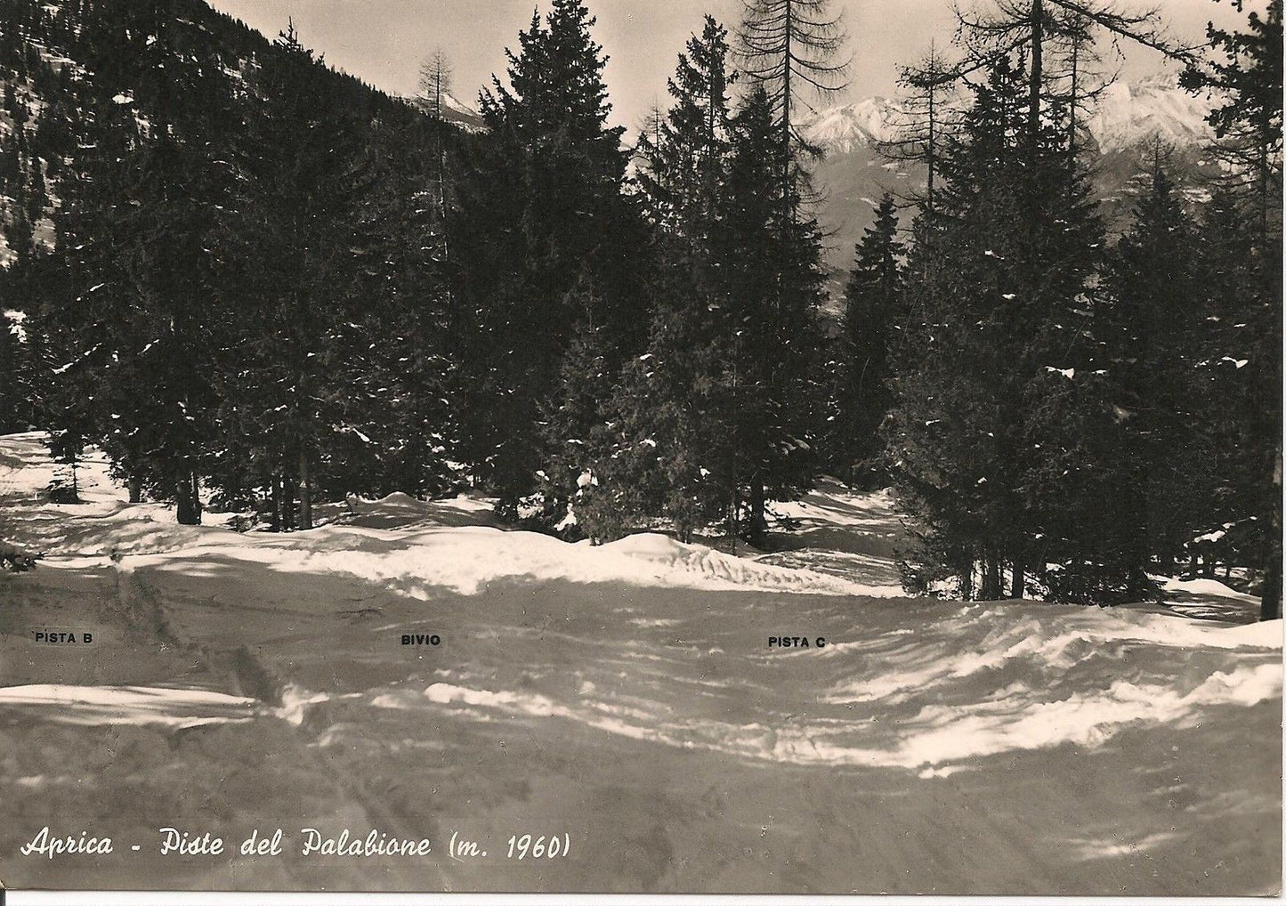 APRICA - PISTE DEL PALABIONE - V1951