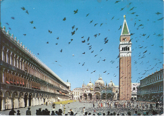 VENEZIA - PIAZZA S. MARCO - VOLO DI COLOMBI - V1964