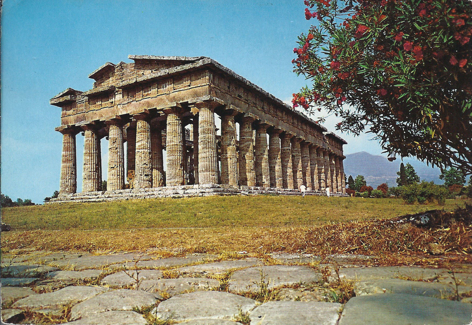 PAESTUM - TEMPIO DI NETTUNO - V1983