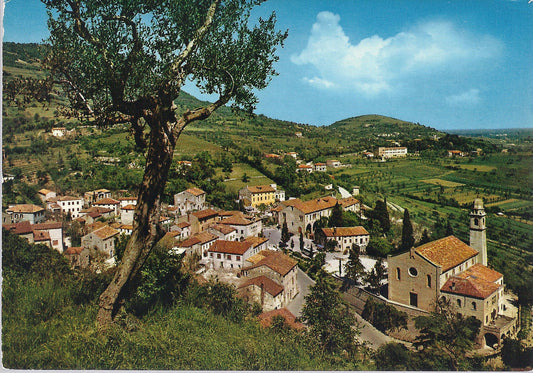 ARQUA' PETRARCA - PANORAMA VERSO LA CHIESA - VIB1981