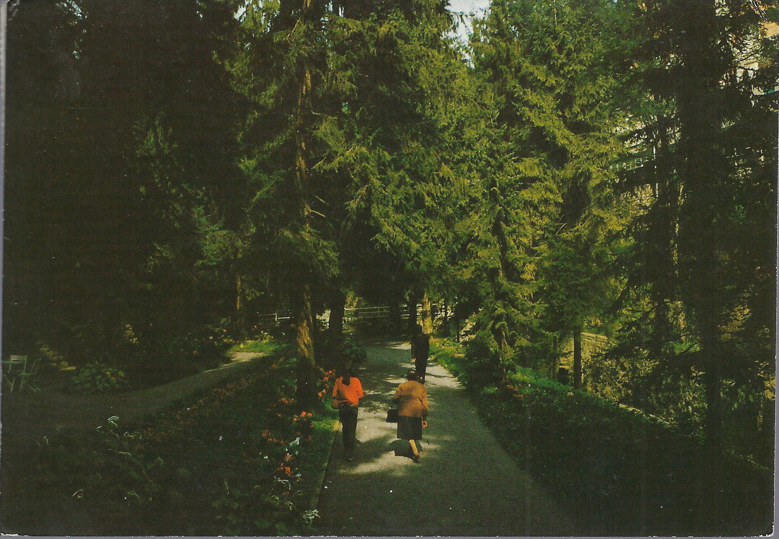 GAVERINA - LA PASSEGGIATA - V 1981 - FG