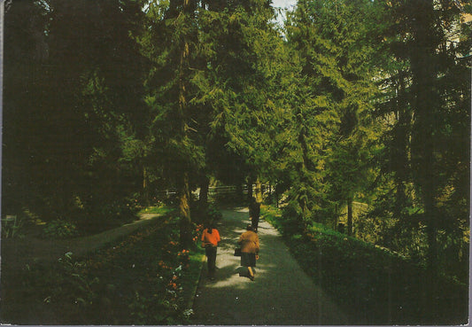 GAVERINA - LA PASSEGGIATA - V 1981 - FG