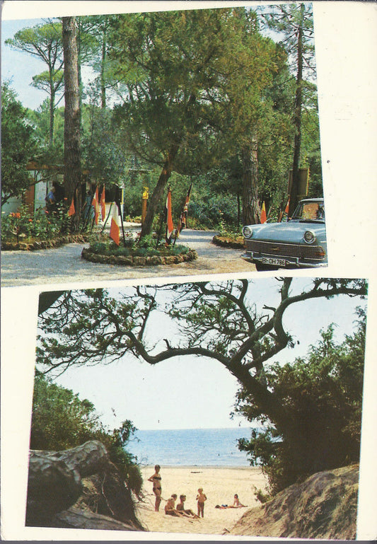 MARINA DI CASTAGNETO DONORATICO - INTERNATIONAL CAMPING ETRU