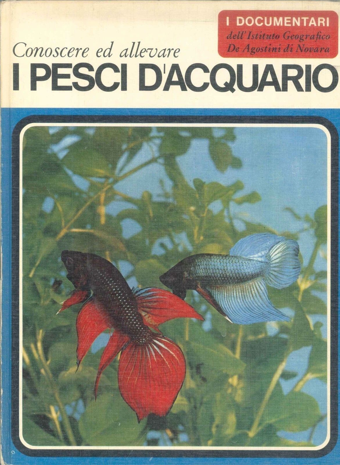 I DOCUMENTARI - I PESCI D'ACQUARIO