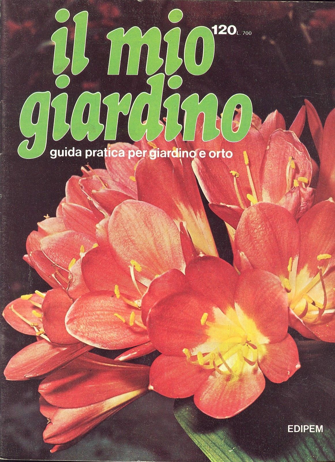 IL MIO GIARDINO N 26