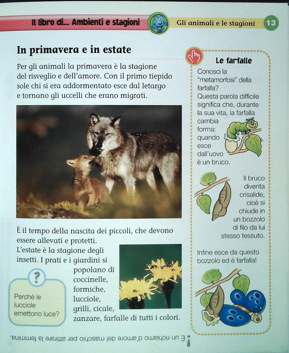 IL LIBRO DI AMBIENTI E STAGIONI - ELISA PRATI