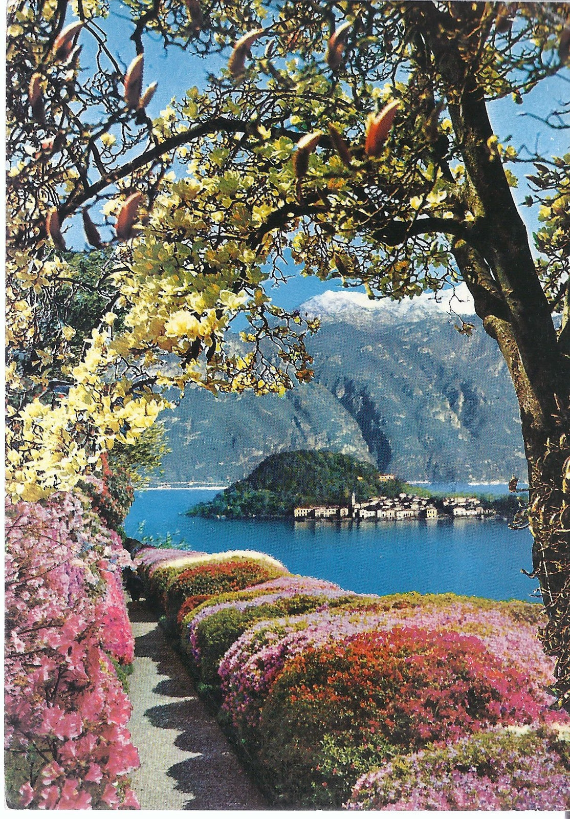 BELLAGIO VISTO DA VILLA CARLOTTA - V 1977 - FG