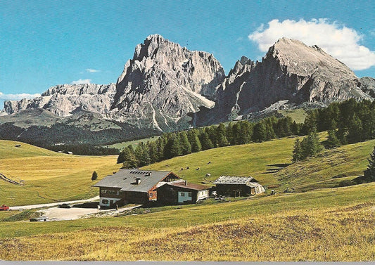 ALPE DI SIUSI - MALGA RITSCH - V1996