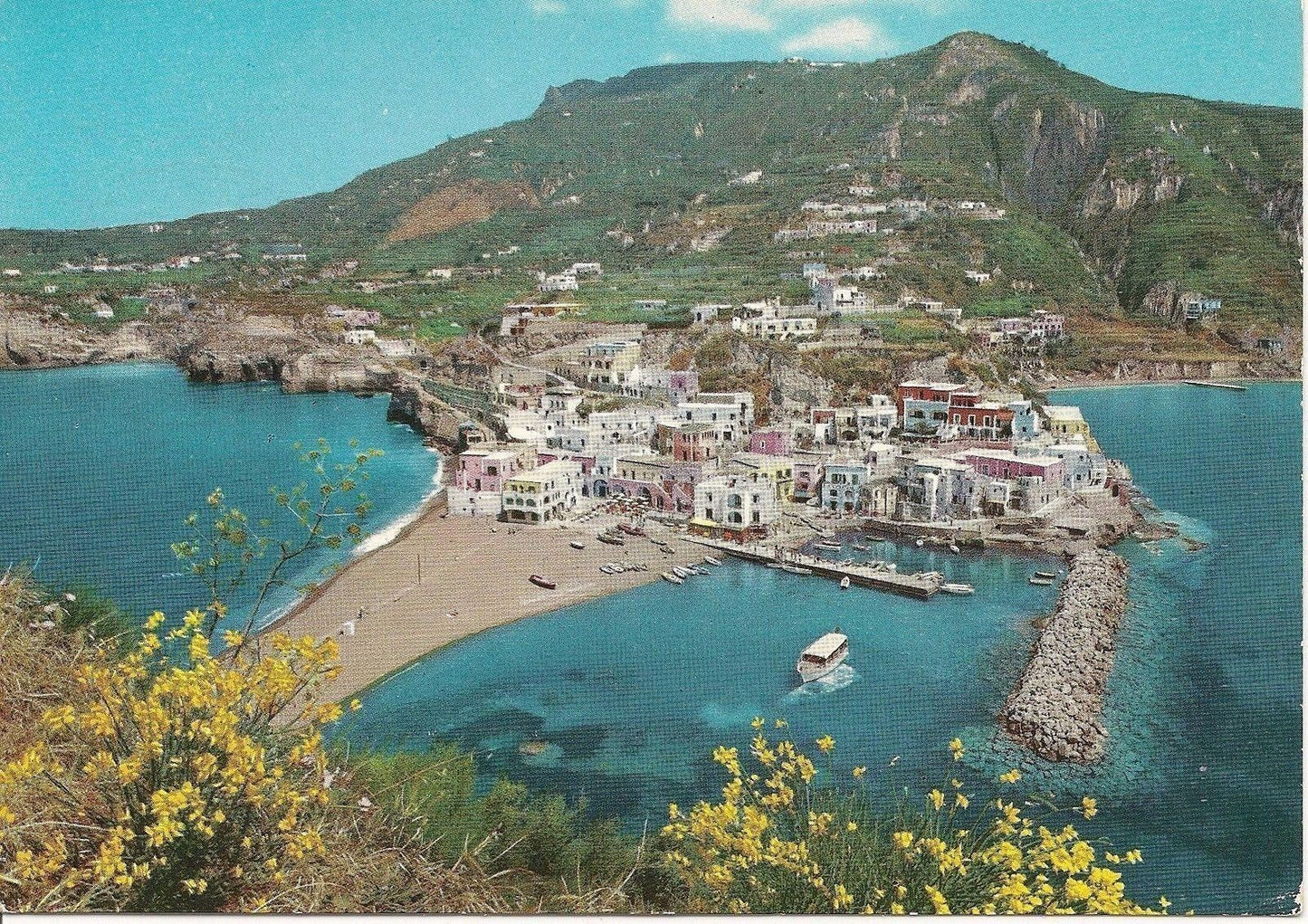 SANT'ANGELO ISCHIA - PANORAMA - V1984