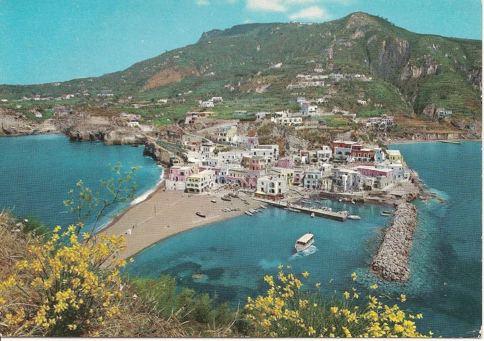 SANT'ANGELO ISCHIA - PANORAMA - V1984