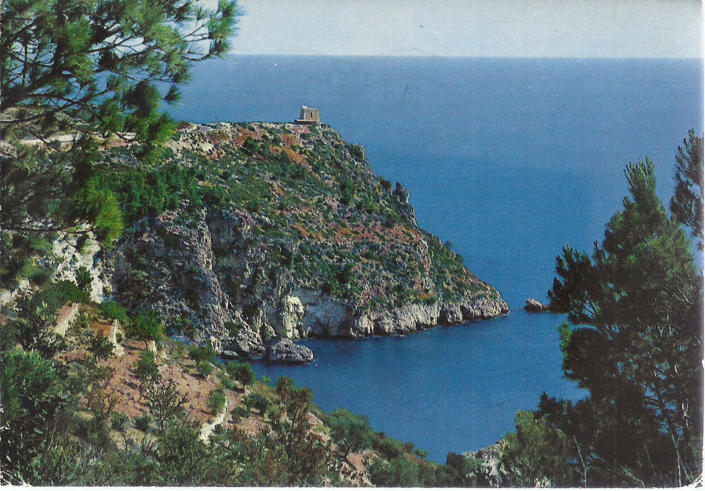 VIESTE - TORRE DELL'AGLIO - VSD - FG