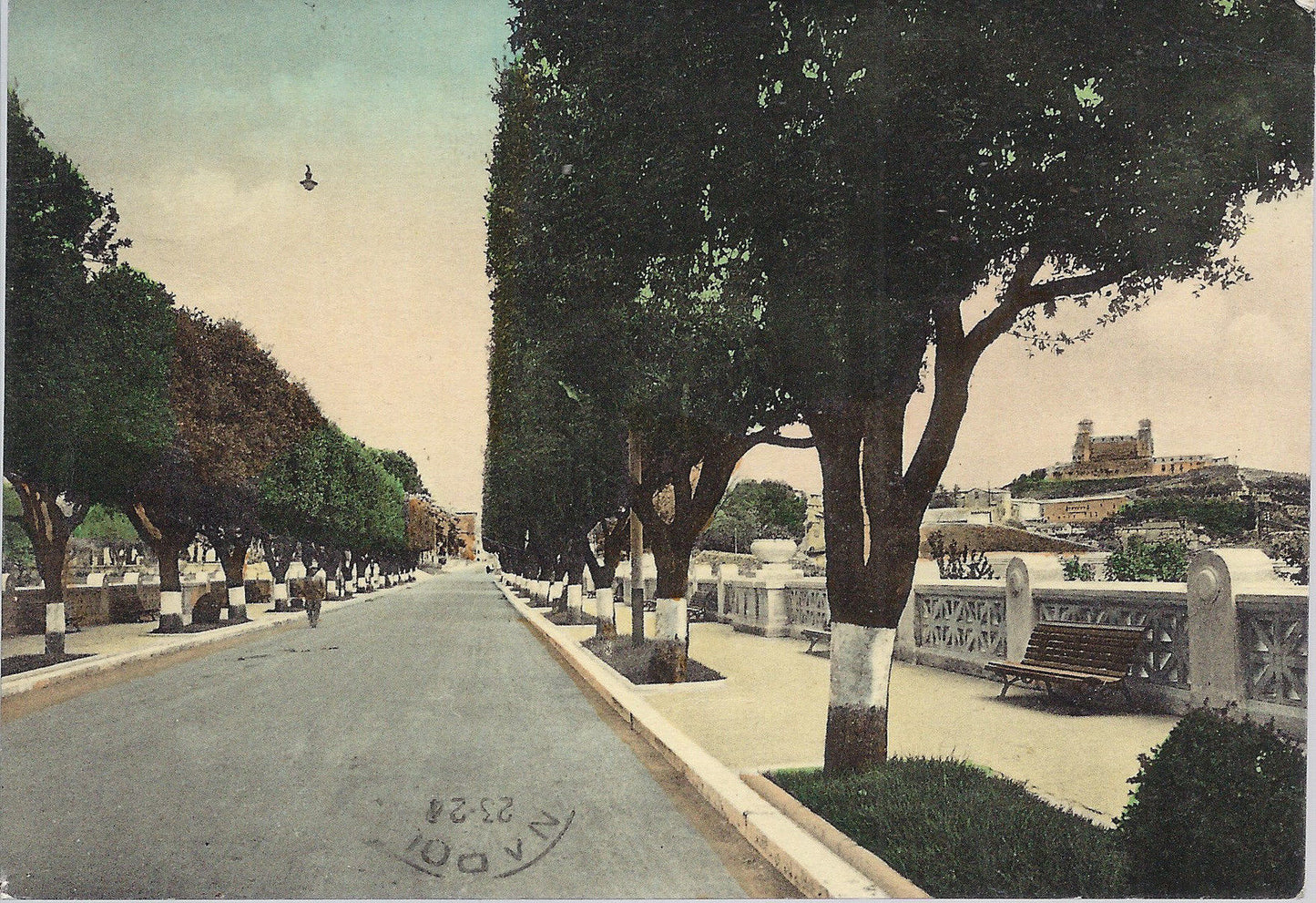 SPOLETO - VIALE G. MATEOTTI - V 1954 - FG