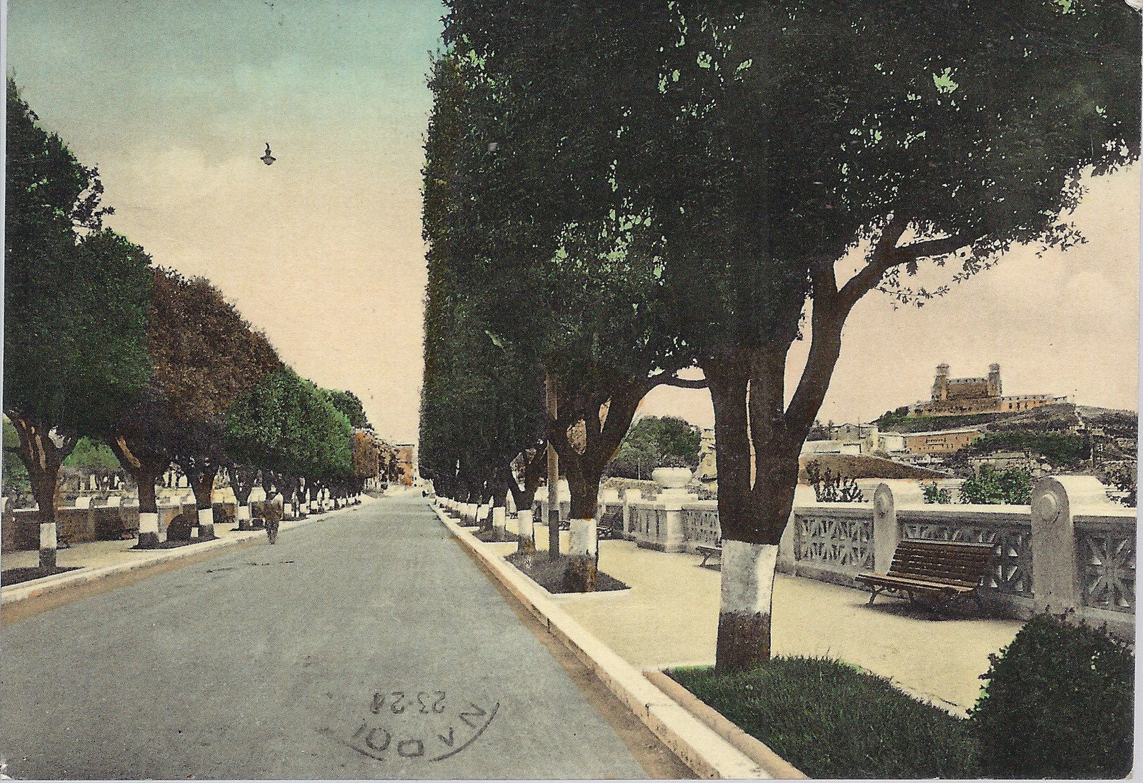 SPOLETO - VIALE G. MATEOTTI - V 1954 - FG