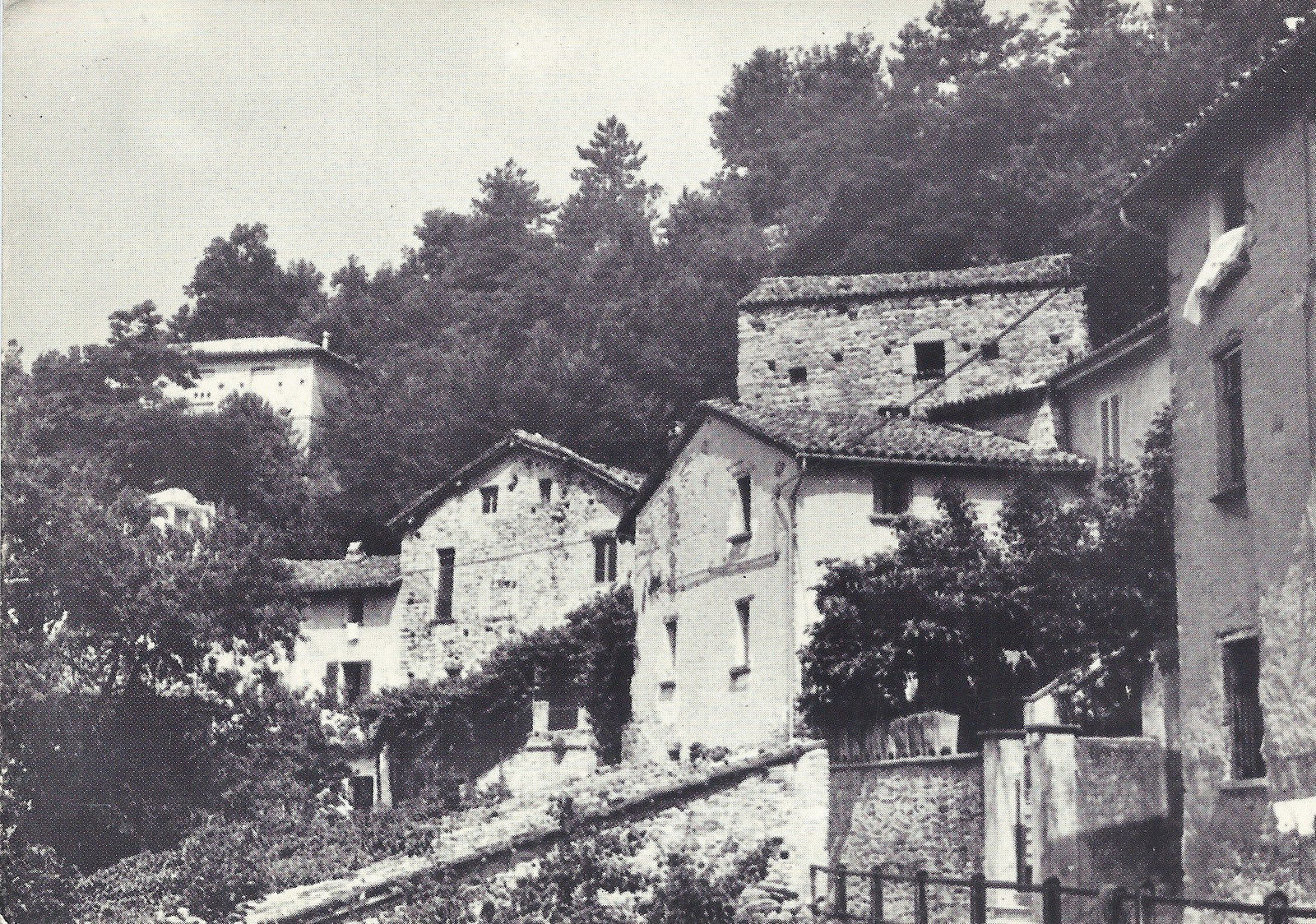 ZAVATTARELLO ALTA - NV