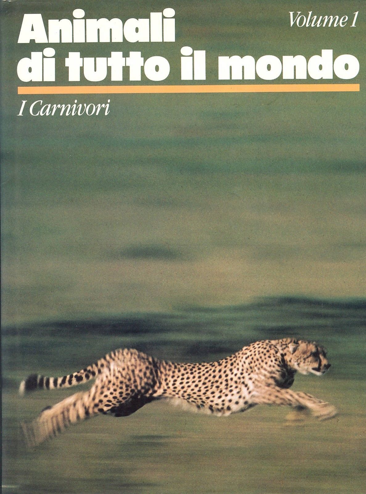 ANIMALI DI TUTTO IL MONDO - I CARNIVORI
