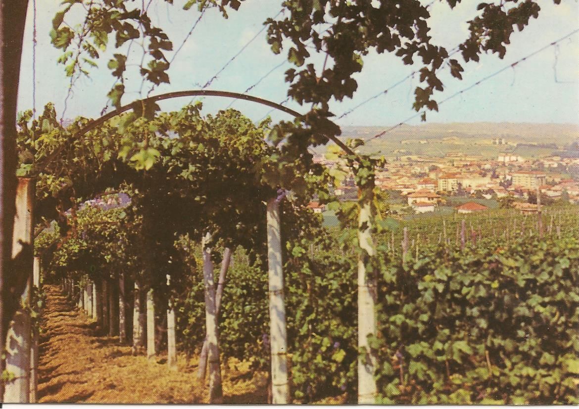 NIZZA MONFERRATO - ASTI - NV